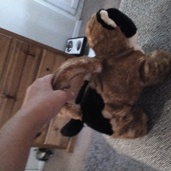 Calico kitten purse - Picture 5 of 7